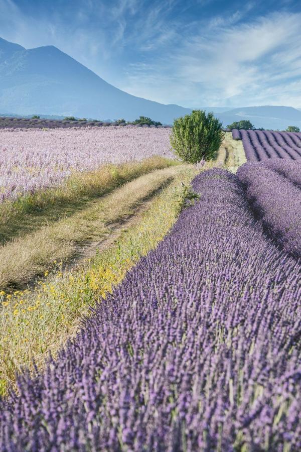 Gite Le Val Zen Valaurie - Drome Provencale Esterno foto